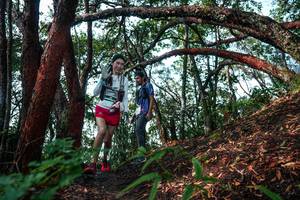 BIB: 
                            <button type="button" onclick="openModal(26345090)" class="btn btn-primary btn-sm float-right btn-popup" data-toggle="modal" data-target=".modal-high-quality">
                        <i class="fas fa-shopping-cart"></i> Add to Cart
                    </button>
                                            <button type="button" onclick="isThisMe(26345090, true)" class="btn btn-success btn-sm float-right btn-popup btn-isme hidden" data-toggle="tooltip" data-placement="bottom" title="นี่คือรูปของคุณใช่ไหม คลิกที่นี่เพื่อเอาเข้าอัลบั้ม">
                        <i class="fas fa-plus"></i> Add to album
                    </button>
                    <button type="button" onclick="isThisMe(26345090, false)" class="btn btn-warning btn-sm float-right btn-popup btn-isnotme hidden">
                        <i class="fas fa-ban"></i> Remove from album
                    </button>